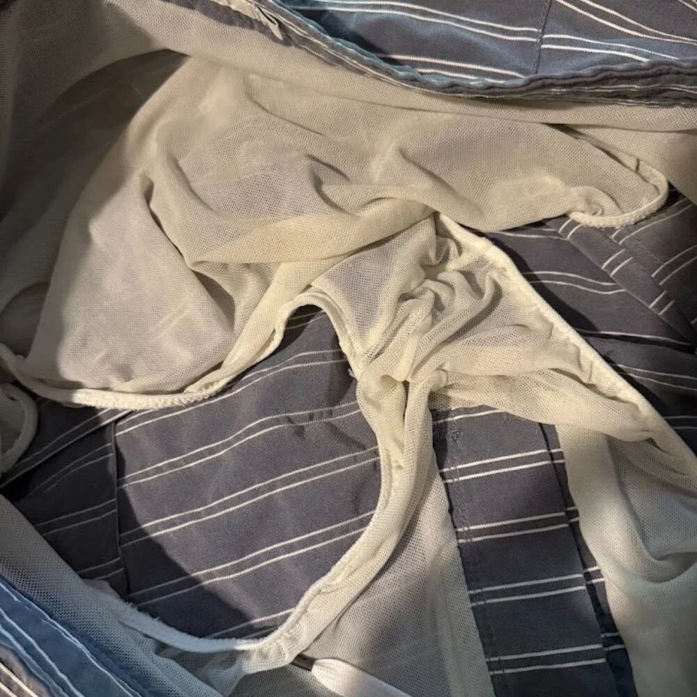Grey Striped Onia Swim Trunks, 34 Waist NWOT